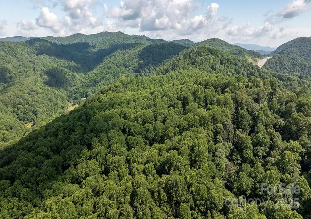 Photo 4 of Land for sale at 1710 Roaring Frk Rd, Mars Hill, NC 28754 | MLS# 4281225 | Listing updated on 2026-07-14
