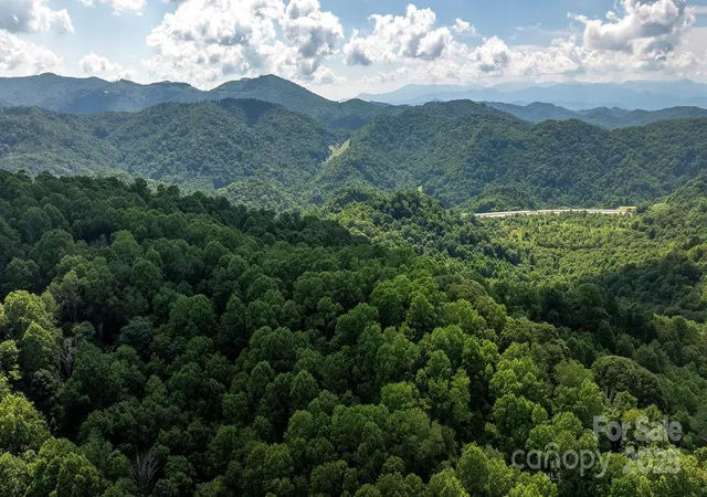 Photo 5 of Land for sale at 1710 Roaring Frk Rd, Mars Hill, NC 28754 | MLS# 4281225 | Listing updated on 2026-07-14