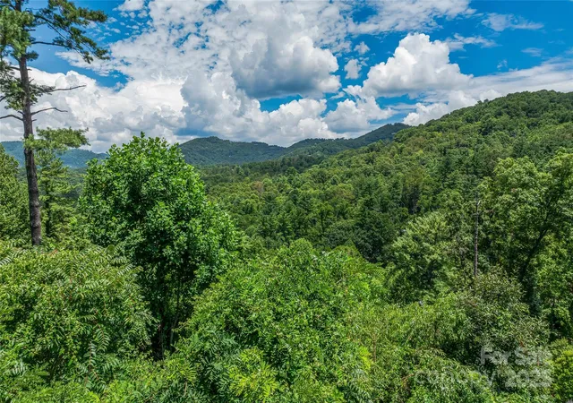 1st image of 29 Grovepoint Way, Asheville, NC 28804 | MLS# 4281313