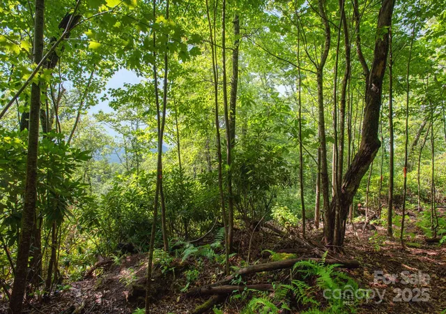 4th image of Lot # 2 Masterpiece Dr #2, Hendersonville, NC 28792 | MLS# 4281339
