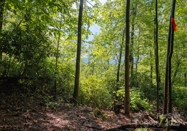 5th image of Lot # 2 Masterpiece Dr #2, Hendersonville, NC 28792 | MLS# 4281339