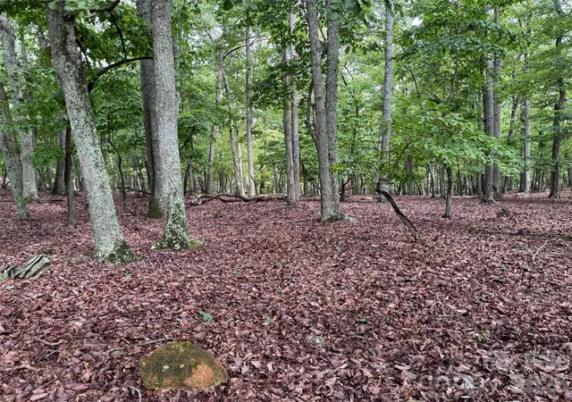 Homes for sale in Denton, NC | 1695 Sierra Trace Rd, Denton, NC 27239 | MLS# 4281471
