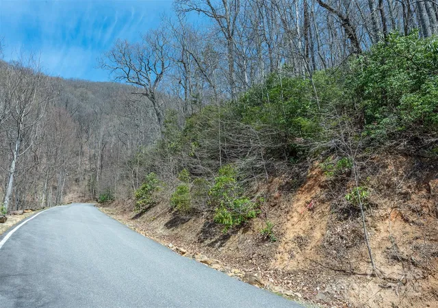Homes for sale in Black Mountain, NC | 23 Winding Poplar Rd #912, Black Mountain, NC 28711 | MLS# 4282173