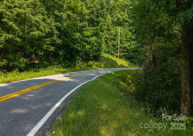 2nd image of 0 Brushy Mtn Rd, Moravian Falls, NC 28654 | MLS# 4283683