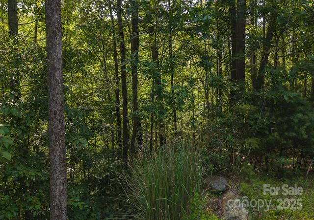 26th image of 0 Brushy Mtn Rd, Moravian Falls, NC 28654 | MLS# 4283683