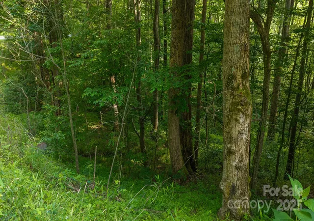 3rd image of 0 Brushy Mtn Rd, Moravian Falls, NC 28654 | MLS# 4283683