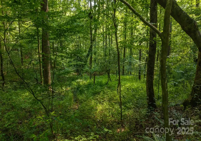 4th image of 0 Brushy Mtn Rd, Moravian Falls, NC 28654 | MLS# 4283683