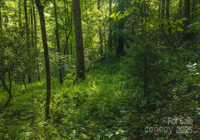 5th image of 0 Brushy Mtn Rd, Moravian Falls, NC 28654 | MLS# 4283683
