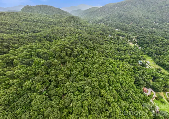 Photo 3 of Land for sale at 99999 Little Pisgah Rd, Gerton, NC 28735 | MLS# 4283865 | Listing updated on 2026-08-13