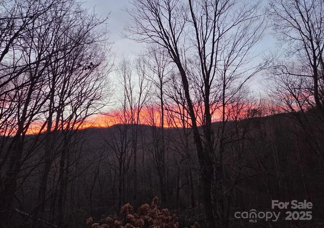 Photo 2 of Land for sale at 50 Firefly Springs Ln, Candler, NC 28715 | MLS# 4284844 | Listing updated on 2026-09-14