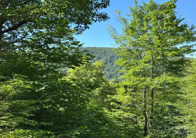 Photo 2 of Land for sale at 33 Nuthatch Ln #T-84, Black Mountain, NC 28711 | MLS# 4285518 | Listing updated on 2026-07-21