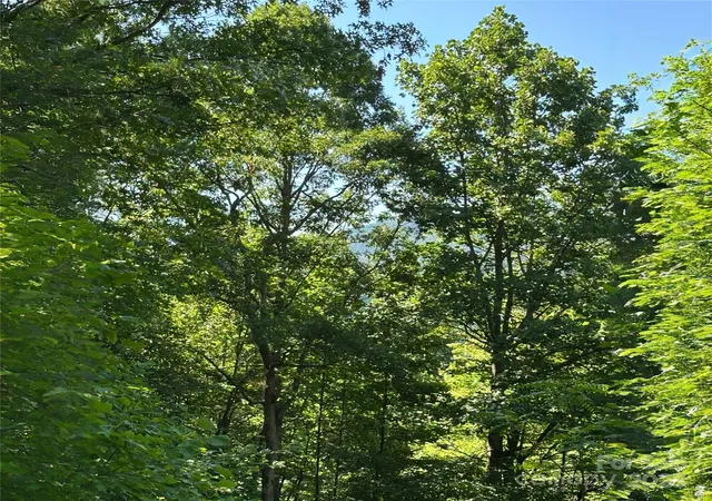 Photo 3 of Land for sale at 33 Nuthatch Ln #T-84, Black Mountain, NC 28711 | MLS# 4285518 | Listing updated on 2026-07-21