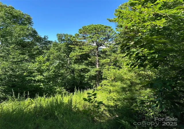 Photo 4 of Land for sale at 33 Nuthatch Ln #T-84, Black Mountain, NC 28711 | MLS# 4285518 | Listing updated on 2026-07-21