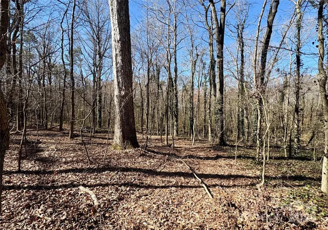 Photo 2 of Land for sale at 1417 Ellis Griffin Rd, Wingate, NC 28174 | MLS# 4285903 | Listing updated on 2026-04-07
