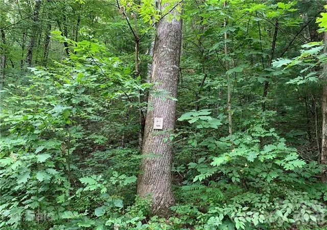 Photo 2 of Land for sale at 0000 Peppervine Cir #98, Brevard, NC | MLS# 4286164 | Listing updated on 2026-08-19