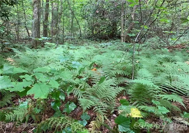 Photo 3 of Land for sale at 0000 Peppervine Cir #98, Brevard, NC | MLS# 4286164 | Listing updated on 2026-08-19