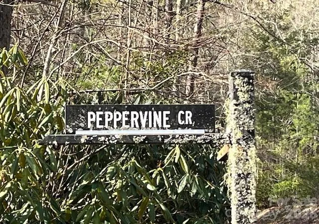 Photo 3 of Land for sale at 0000 Peppervine Cir #98, Brevard, NC | MLS# 4286164 | Listing updated on 2026-08-19