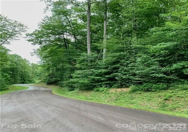Photo 4 of Land for sale at 0000 Peppervine Cir #98, Brevard, NC | MLS# 4286164 | Listing updated on 2026-08-19