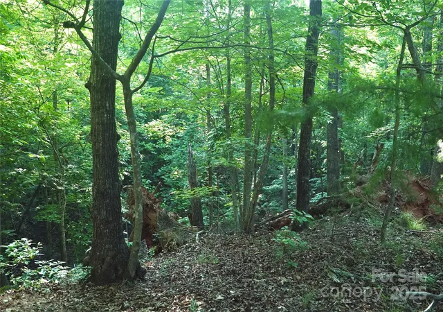 2nd image of 0 Parkway North #13, Mill Spring, NC 28756 | MLS# 4286794