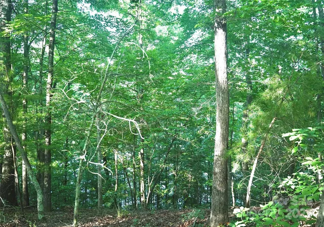 3rd image of 0 Parkway North #13, Mill Spring, NC 28756 | MLS# 4286794