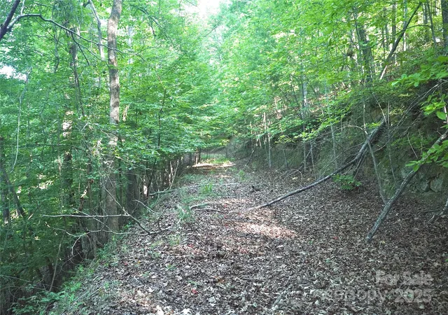 4th image of 0 Parkway North #13, Mill Spring, NC 28756 | MLS# 4286794