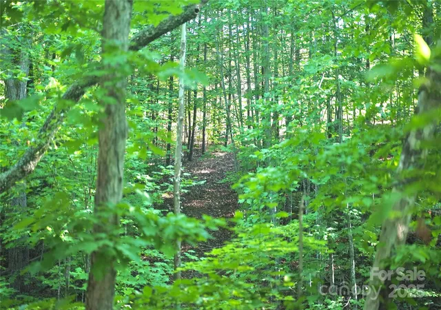 5th image of 0 Parkway North #13, Mill Spring, NC 28756 | MLS# 4286794