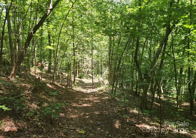 2nd image of 2003 Zacks Fork Rd, Lenoir, NC 28645 | MLS# 4287006