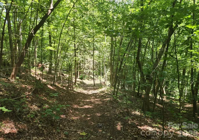 Photo 2 of Land for sale at 2003 Zacks Fork Rd, Lenoir, NC 28645 | MLS# 4287006 | Listing updated on 2026-10-06
