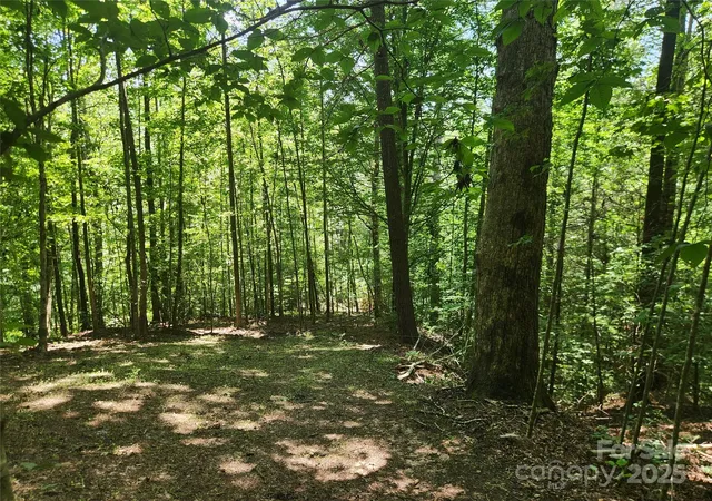 26th image of 2003 Zacks Fork Rd, Lenoir, NC 28645 | MLS# 4287006