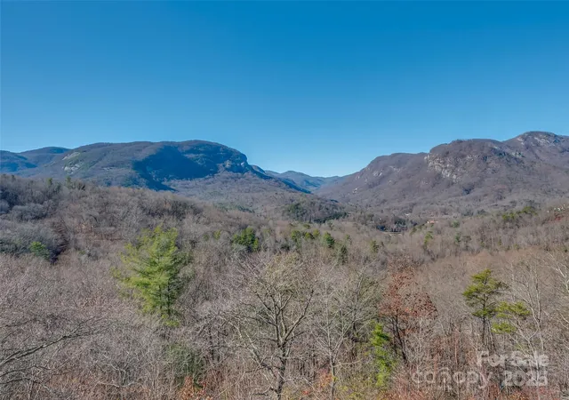 3rd image of 315 Thomas A Edison Rd, Lake Lure, NC 28746 | MLS# 4287031