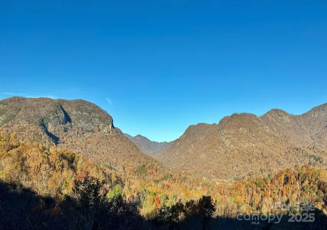 47th image of 315 Thomas A Edison Rd, Lake Lure, NC 28746 | MLS# 4287031