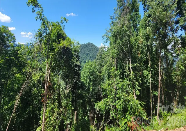 Photo 4 of Land for sale at 37 Destination Dr, Waynesville, NC 28786 | MLS# 4287052 | Listing updated on 2026-07-02