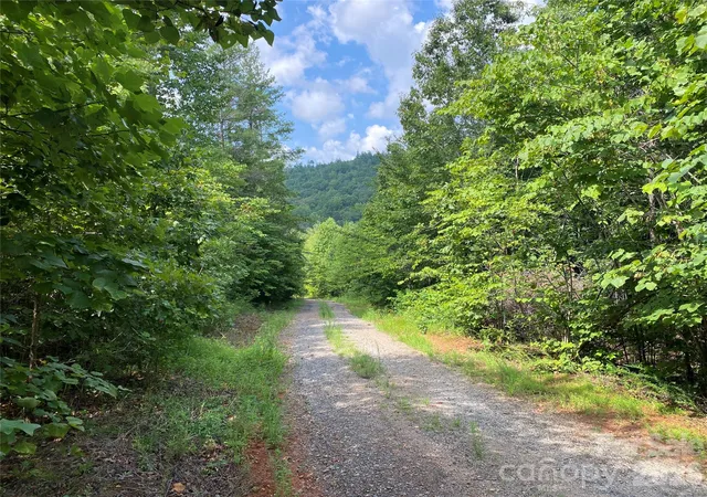 Photo 3 of Land for sale at 0 Camp Mccall Rd, Bostic, NC 28018 | MLS# 4287266 | Listing updated on 2026-08-07