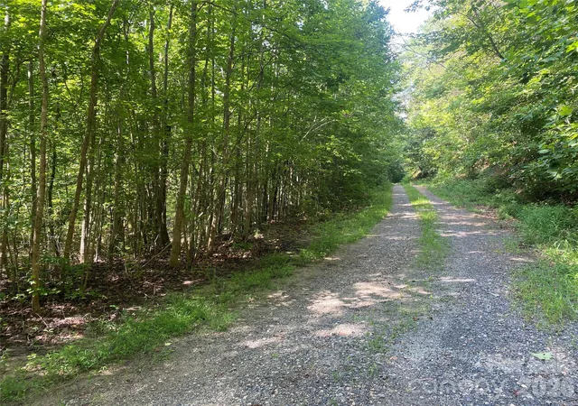Photo 3 of Land for sale at 0 Camp Mccall Rd, Bostic, NC 28018 | MLS# 4287266 | Listing updated on 2026-08-07