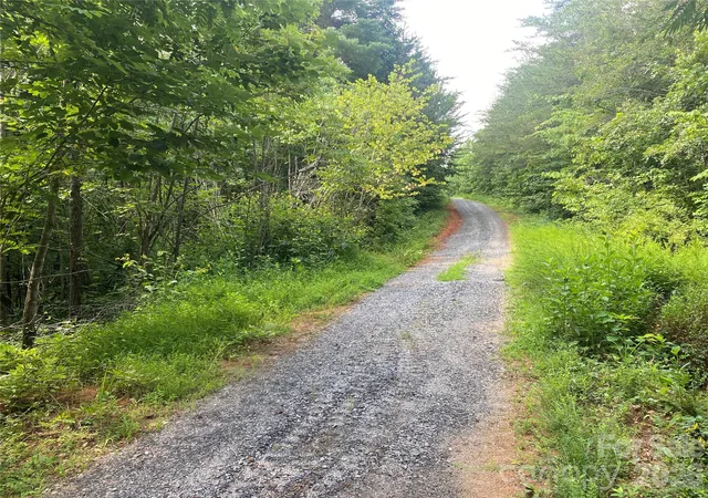 Photo 4 of Land for sale at 0 Camp Mccall Rd, Bostic, NC 28018 | MLS# 4287266 | Listing updated on 2026-08-07