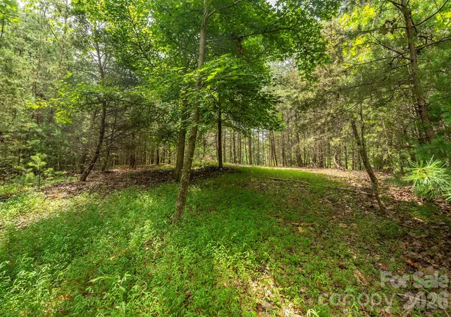 Photo 1 of Land for sale at Lot 46 Black Forest Dr, Marion, NC 28752 | MLS# 4287532 | Listing updated on 2026-10-07