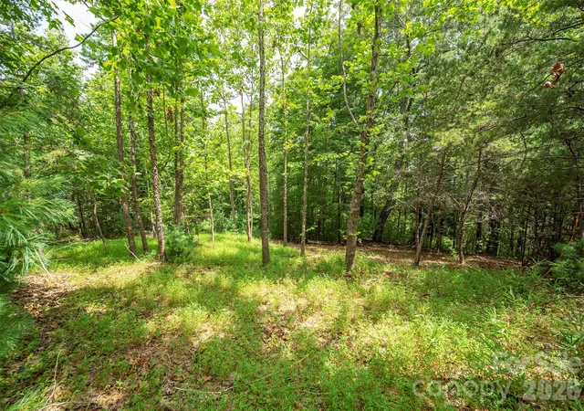 Photo 3 of Land for sale at Lot 46 Black Forest Dr, Marion, NC 28752 | MLS# 4287532 | Listing updated on 2026-10-07