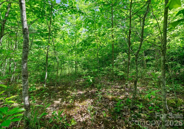 Photo 3 of Land for sale at 99999 Millbrae Loop N, Hendersonville, NC 28791 | MLS# 4287553 | Listing updated on 2026-08-04
