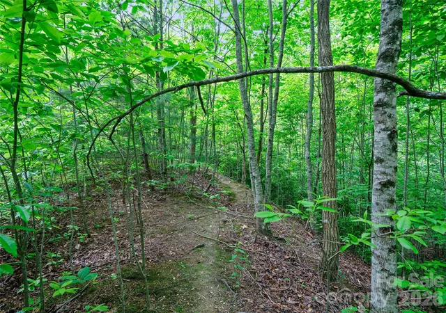 Photo 3 of Land for sale at 99999 Millbrae Loop N, Hendersonville, NC 28791 | MLS# 4287553 | Listing updated on 2026-08-04