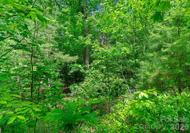 Photo 4 of Land for sale at 99999 Millbrae Loop N, Hendersonville, NC 28791 | MLS# 4287553 | Listing updated on 2026-08-04