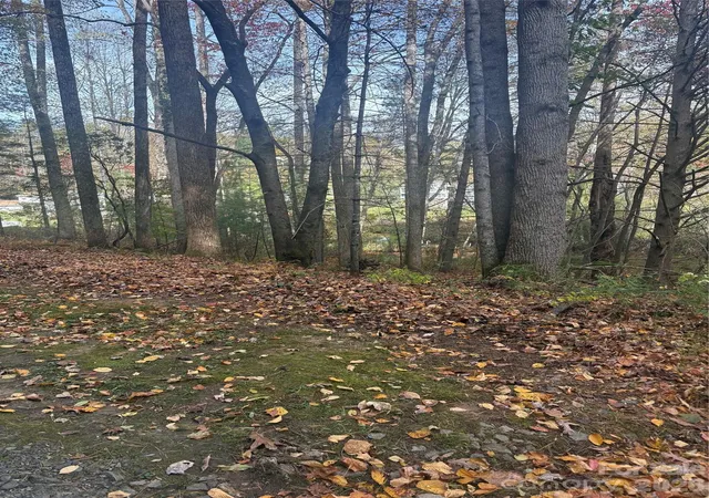 Photo 3 of Land for sale at Bl-a Clb House Ct #BL-A, Brevard, NC 28712 | MLS# 4288222 | Listing updated on 2026-08-07