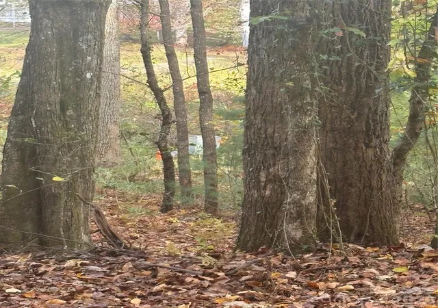 Photo 4 of Land for sale at Bl-a Clb House Ct #BL-A, Brevard, NC 28712 | MLS# 4288222 | Listing updated on 2026-08-07