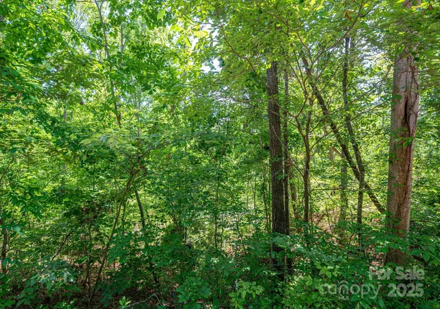 Photo 3 of Land for sale at Lot 132 Plantation Dr, Rutherfordton, NC 28139 | MLS# 4288284 | Listing updated on 2026-09-21