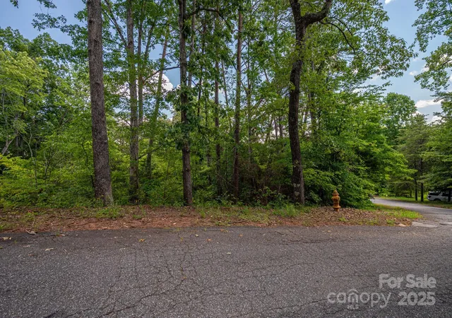 Photo 1 of Land for sale at Lot 207 Plantation Dr, Rutherfordton, NC 28139 | MLS# 4288294 | Listing updated on 2026-09-21