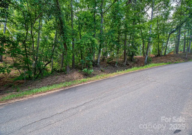 14th image of Lot 209 Plantation Dr, Rutherfordton, NC 28139 | MLS# 4288298