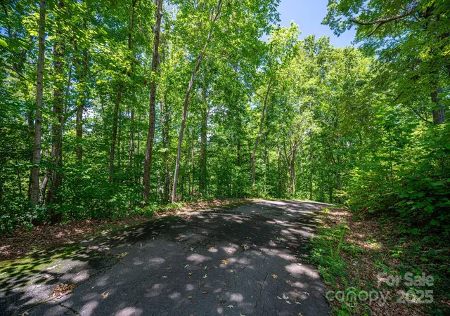 Photo 1 of Land for sale at Lot 166 Plantation Dr, Rutherfordton, NC 28139 | MLS# 4288304 | Listing updated on 2026-09-21