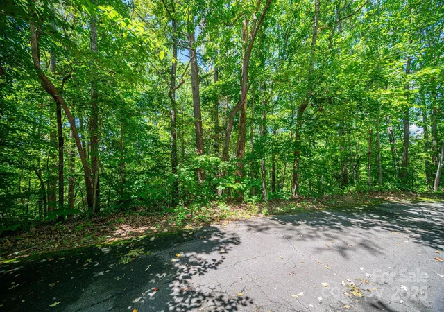 Photo 4 of Land for sale at Lot 166 Plantation Dr, Rutherfordton, NC 28139 | MLS# 4288304 | Listing updated on 2026-09-21