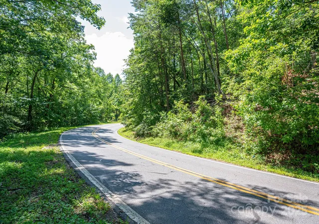Photo 3 of Land for sale at Lot 3 Cleghorn Ml Rd, Rutherfordton, NC 28139 | MLS# 4288384 | Listing updated on 2026-09-21