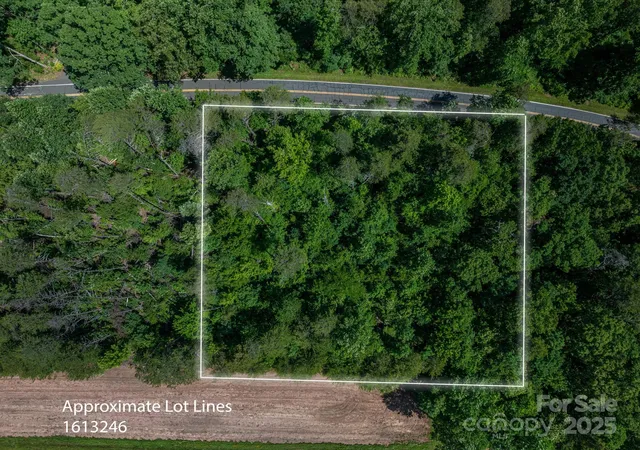 Photo 2 of Land for sale at Lot 2 Cleghorn Ml Rd, Rutherfordton, NC 28139 | MLS# 4288389 | Listing updated on 2026-07-03