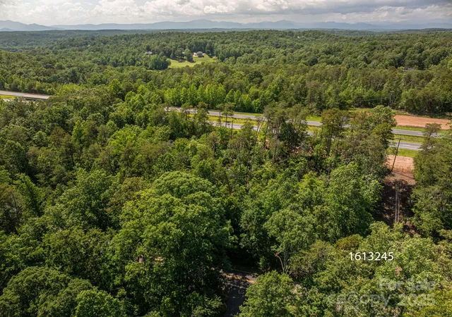 Photo 3 of Land for sale at Lot 1 Cleghorn Ml Rd, Rutherfordton, NC 28139 | MLS# 4288391 | Listing updated on 2026-09-21